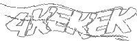 Check code