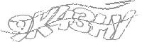 Check code