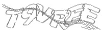 Check code