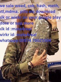 webehigh - Escort Alice | Girl in Doha
